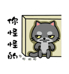 小さな黒猫 Tin-Tin  2（個別スタンプ：25）
