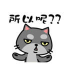 小さな黒猫 Tin-Tin  2（個別スタンプ：31）