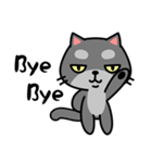小さな黒猫 Tin-Tin  2（個別スタンプ：40）