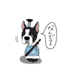 ボストンテリア同好会（個別スタンプ：3）
