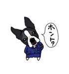 ボストンテリア同好会（個別スタンプ：11）