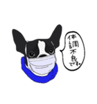 ボストンテリア同好会（個別スタンプ：18）