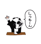 ボストンテリア同好会（個別スタンプ：19）