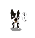 ボストンテリア同好会（個別スタンプ：20）