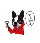 ボストンテリア同好会（個別スタンプ：21）
