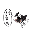 ボストンテリア同好会（個別スタンプ：22）