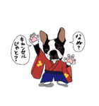 ボストンテリア同好会（個別スタンプ：26）