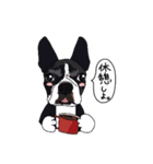 ボストンテリア同好会（個別スタンプ：30）