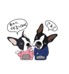 ボストンテリア同好会（個別スタンプ：35）