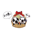 ボストンテリア同好会（個別スタンプ：36）