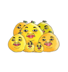 土佐の文旦さん。（個別スタンプ：37）