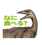 恐竜センターVer1（個別スタンプ：33）