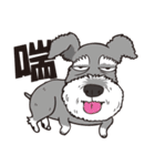 0.5mm Schnauzer（個別スタンプ：19）