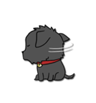 Mali - The Thai Black Dog（個別スタンプ：24）