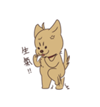 HYA Feeding Project（個別スタンプ：4）