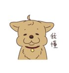 HYA Feeding Project（個別スタンプ：14）
