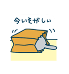 とくひらサンちの猫（個別スタンプ：40）