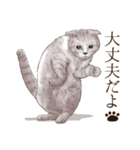 アクロバティックねこ 4（個別スタンプ：8）