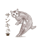 アクロバティックねこ 4（個別スタンプ：21）