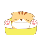 cat fuku02（個別スタンプ：8）