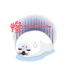 Hat seals（個別スタンプ：26）