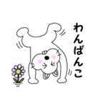 スペシャルドッグタロー（個別スタンプ：17）