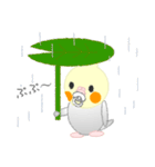 おちゃぶりおかめたびにでる。（個別スタンプ：17）