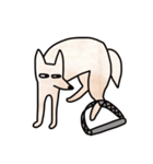 ネムギツネ（個別スタンプ：23）