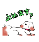 確認あにまるズ（個別スタンプ：28）
