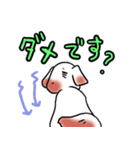 確認あにまるズ（個別スタンプ：30）