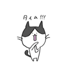 3匹の猫（もっとゆるめ）（個別スタンプ：40）