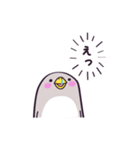 ペンギンのぺちょぎん（個別スタンプ：19）