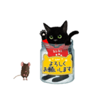 【びんねこ】黒猫バージョン（個別スタンプ：4）