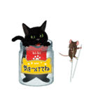 【びんねこ】黒猫バージョン（個別スタンプ：28）