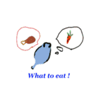 Interesting fish（個別スタンプ：17）