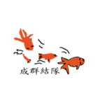 Interesting fish（個別スタンプ：24）