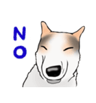 三毛犬スタンプ（個別スタンプ：4）