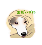 三毛犬スタンプ（個別スタンプ：9）