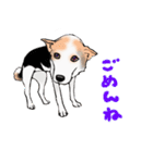 三毛犬スタンプ（個別スタンプ：15）