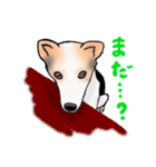 三毛犬スタンプ（個別スタンプ：21）