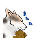 三毛犬スタンプ（個別スタンプ：22）