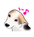 三毛犬スタンプ（個別スタンプ：26）