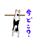 三毛犬スタンプ（個別スタンプ：32）