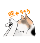 三毛犬スタンプ（個別スタンプ：35）