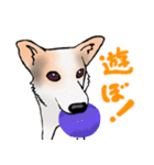 三毛犬スタンプ（個別スタンプ：38）