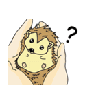 Bing's diary talk（個別スタンプ：27）