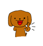 トイプードルのちょこちゃん（個別スタンプ：1）