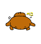 トイプードルのちょこちゃん（個別スタンプ：6）