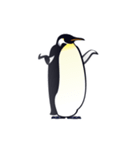 ゆるい皇帝ペンギン（個別スタンプ：26）