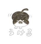 ごまねこ（個別スタンプ：13）